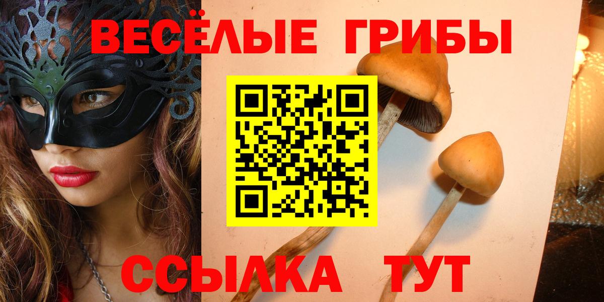 Галлюциногенные грибы Psilocybine cubensis Великие Луки