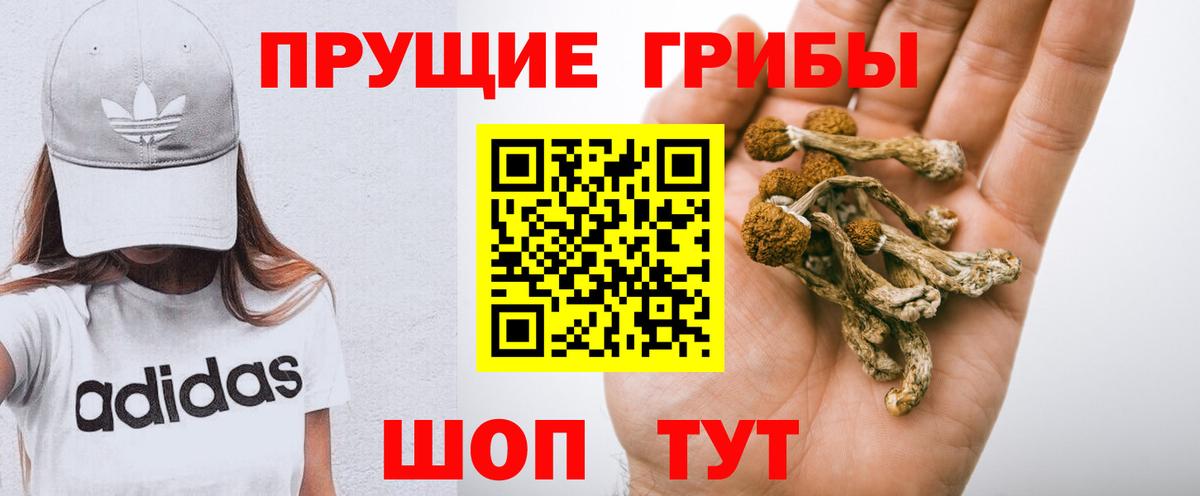 Псилоцибиновые грибы Magic Shrooms  Вход с VPN  Псилоцибиновые грибы прущие грибы  Великие Луки 